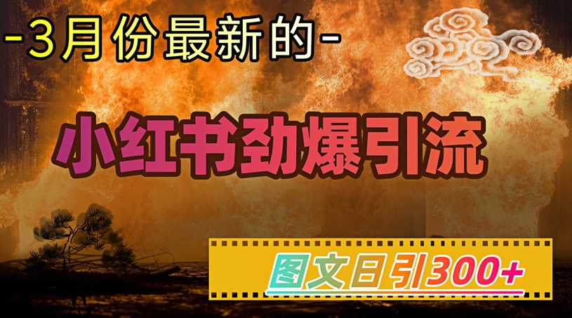 小红书超劲爆引流手段，图文日引300+轻松变现1W-北向