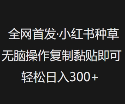 全网首发，小红书种草无脑操作，复制黏贴即可，轻松日入3张-北向