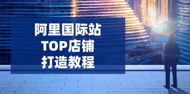 （14269期）阿里国际站TOP店铺打造教程：涵盖平台到高阶，解决运营难题，提升询盘-北向