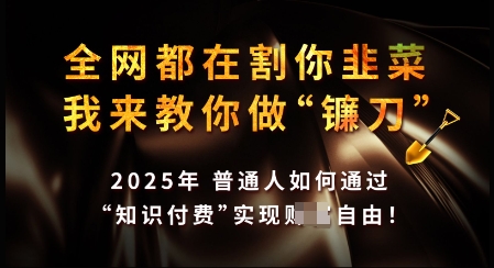 知识付费如何做到月入过W+，2025我来教你做“镰刀”【揭秘】-北向